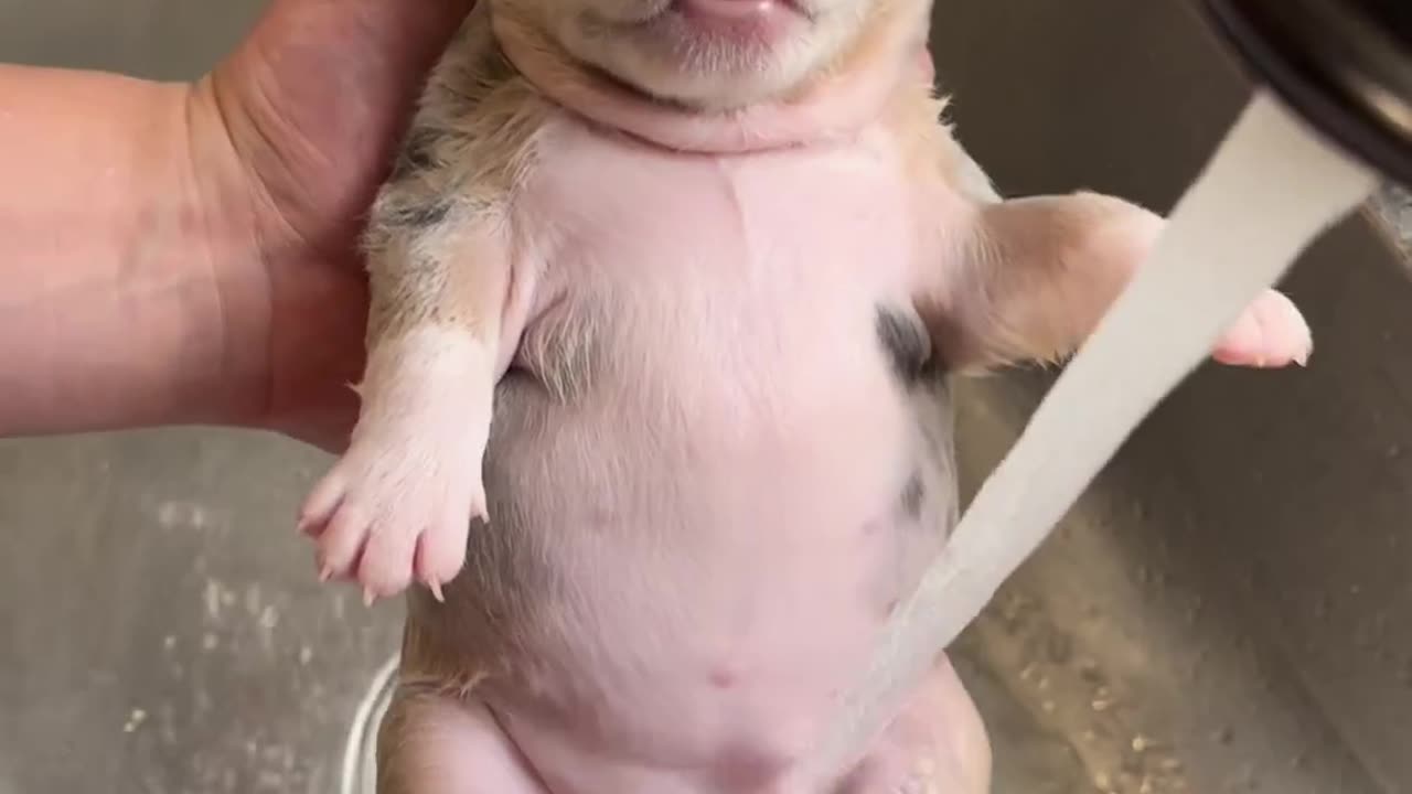 It s the Lil yawn for me 🥺