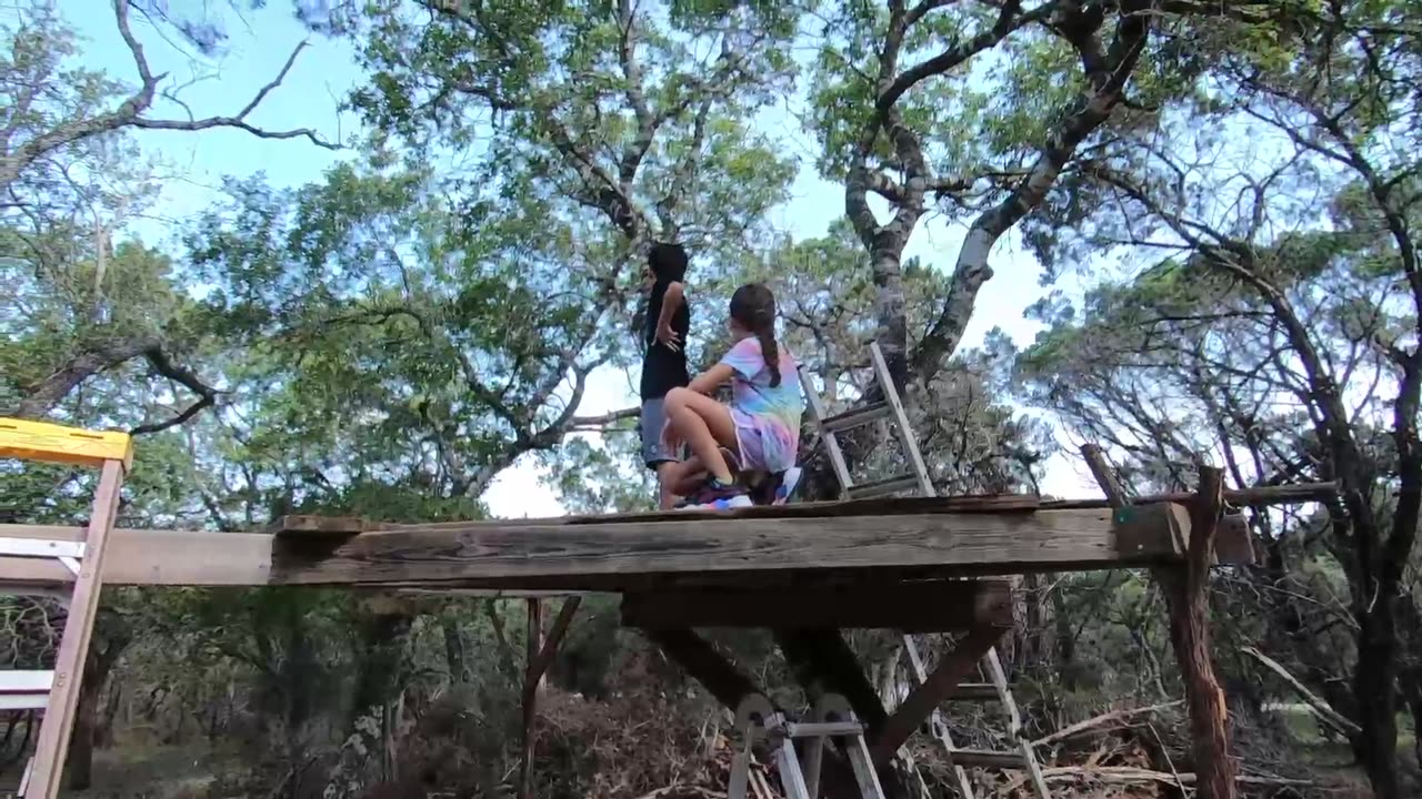 Treehouse Build pt 3 - Inspectors arrive on site