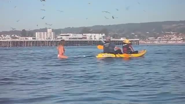 Surfer Almost Swallowed by Whale