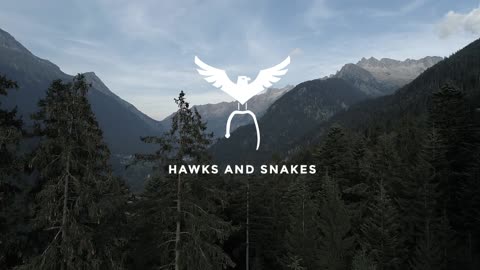 Hawks and Snakes