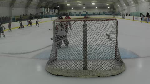 U11A Hornets vs Brock Jr. Badgers 2024-01-23