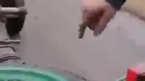Ordinary uncles take weapons from the Russian invaders!