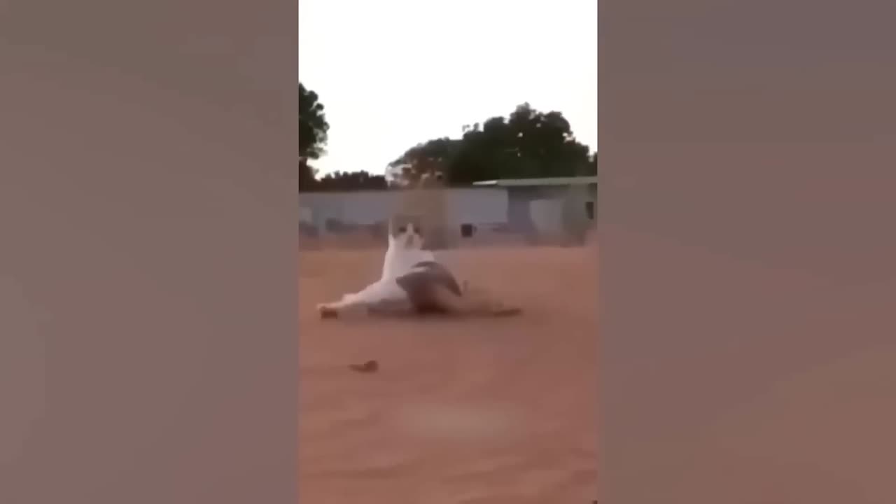 Funniest animals part2