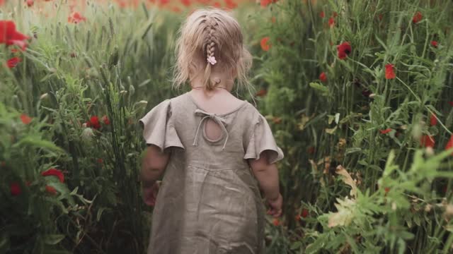 Little child girl adorably struggles with remote learning due to affectionate kitten