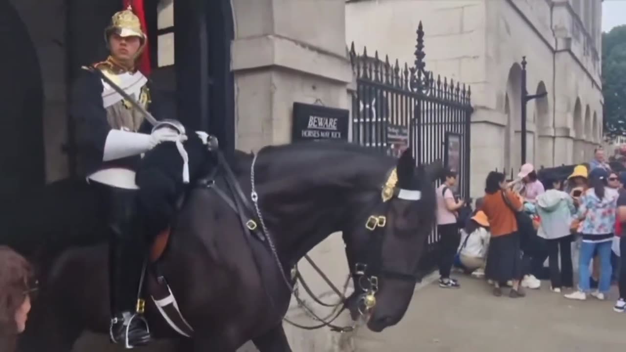 Woman gets bit by a horse of the Royal Guards