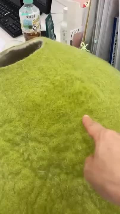 Super cool cat house its lovely