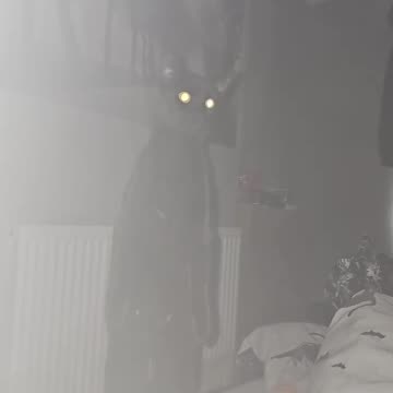 There's nothing wrong with him right?