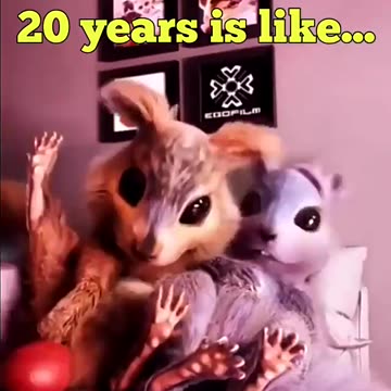 The funniest thing you'll see all day I guarantee you!!!