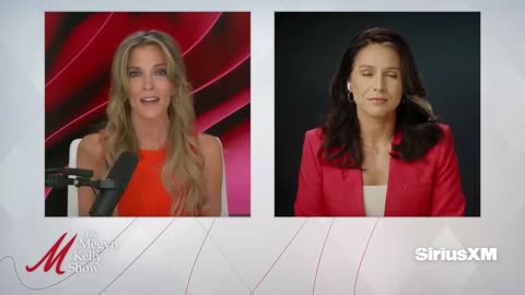 Tulsi Gabbard on Dem Elite Lying to America About Kamala Anointed as Nominee and Policy Consequences