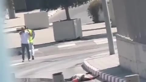 radical islamic terrorist knocked unconscious after trying to kill civilian