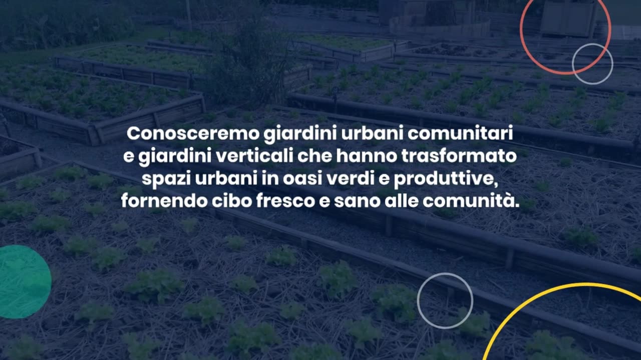 Sapori urbani