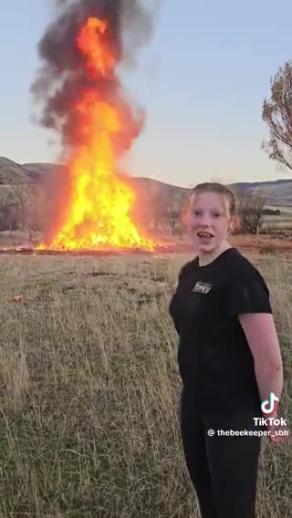 🚨⚠️🔥⚠️🚨 New Zealand is forcing people to destroy their bee boxes - WAKE UP PPL..!!!!