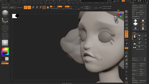 The Girl In Zbrush Software