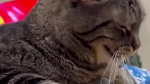 Well_that_went_well…(720p)
