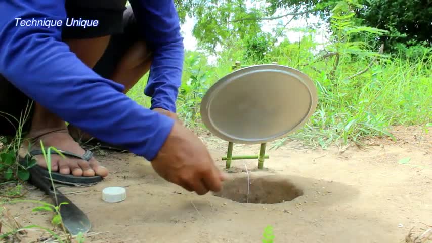 Easy Pigeon Bird Trap