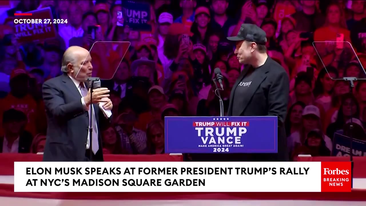 Dark Gothic MAGA' Elon Musk Says He Can Cut At Least $2T From Federal Budget At Trump's MSG Rally