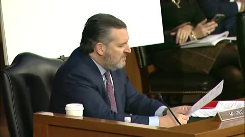 Sen. Ted Cruz Asks Asst. FBI Director: 'How Many FBI Agents Were Confidential Informants' During Jan. 6 Riot?