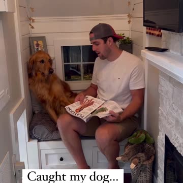 Caught my dog!