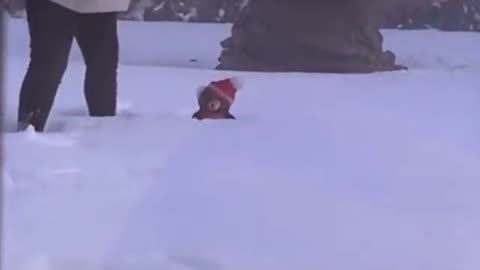 The teddy bear lights up sometimes