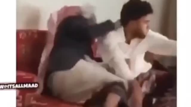 people vs Cat Funneist video I have ever seen🤣