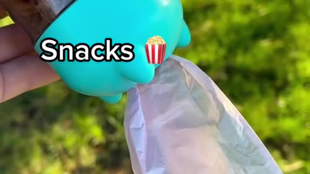 Why you need this for your dog