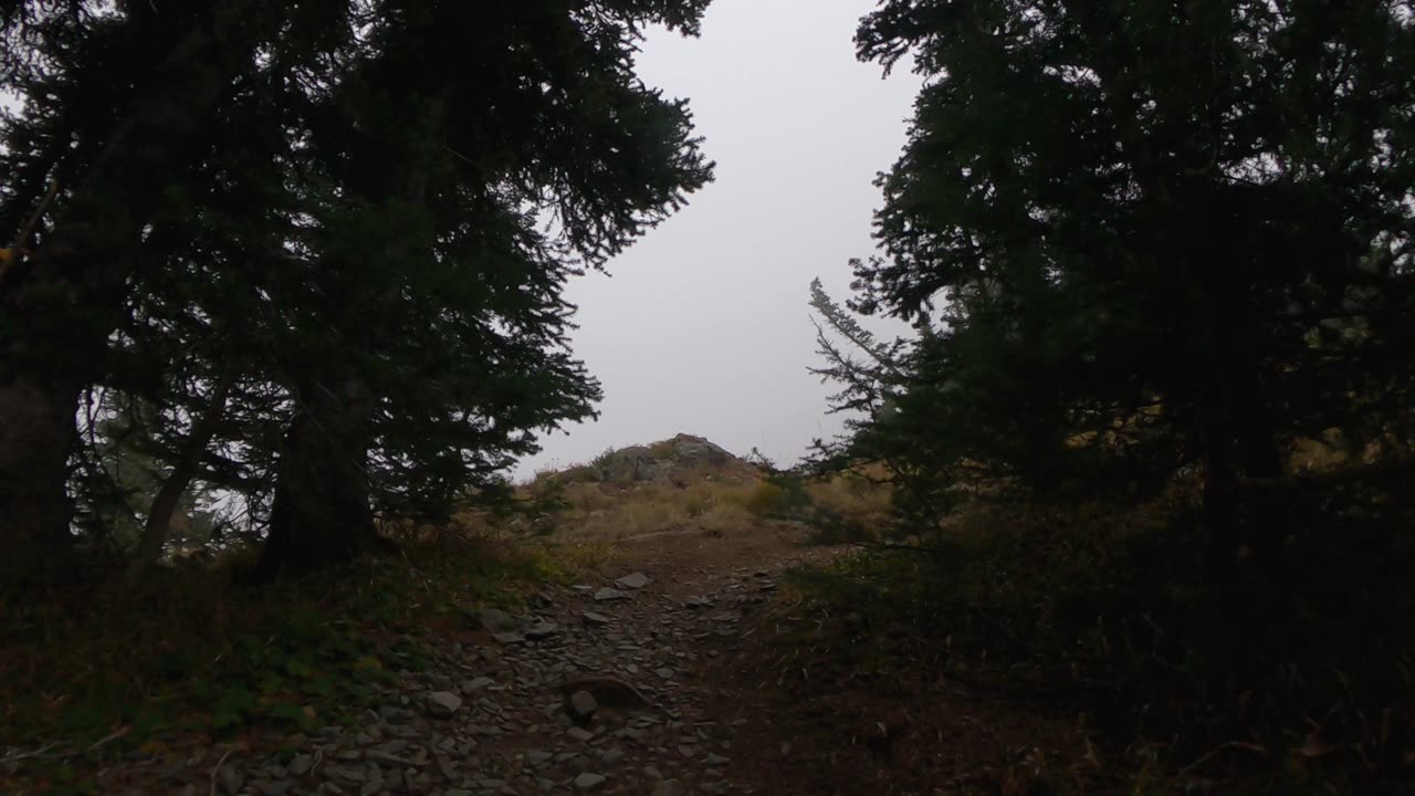 In The Clouds At Thorp Mtn Lookout