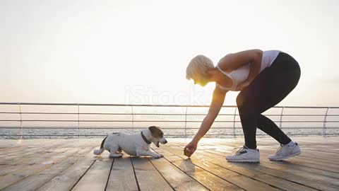 best dog training course free (part 2)