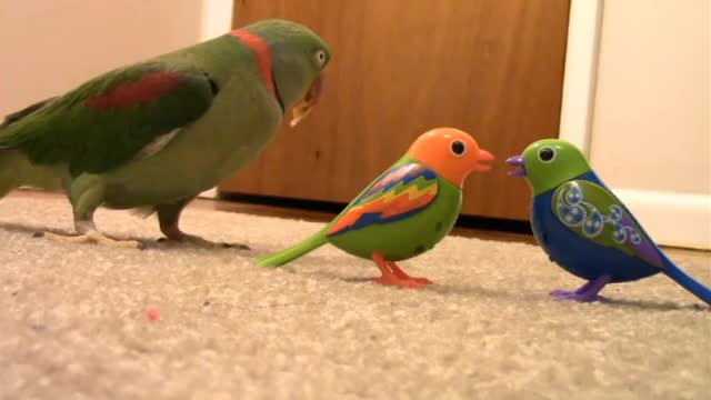 Funny Parrot fighting toys