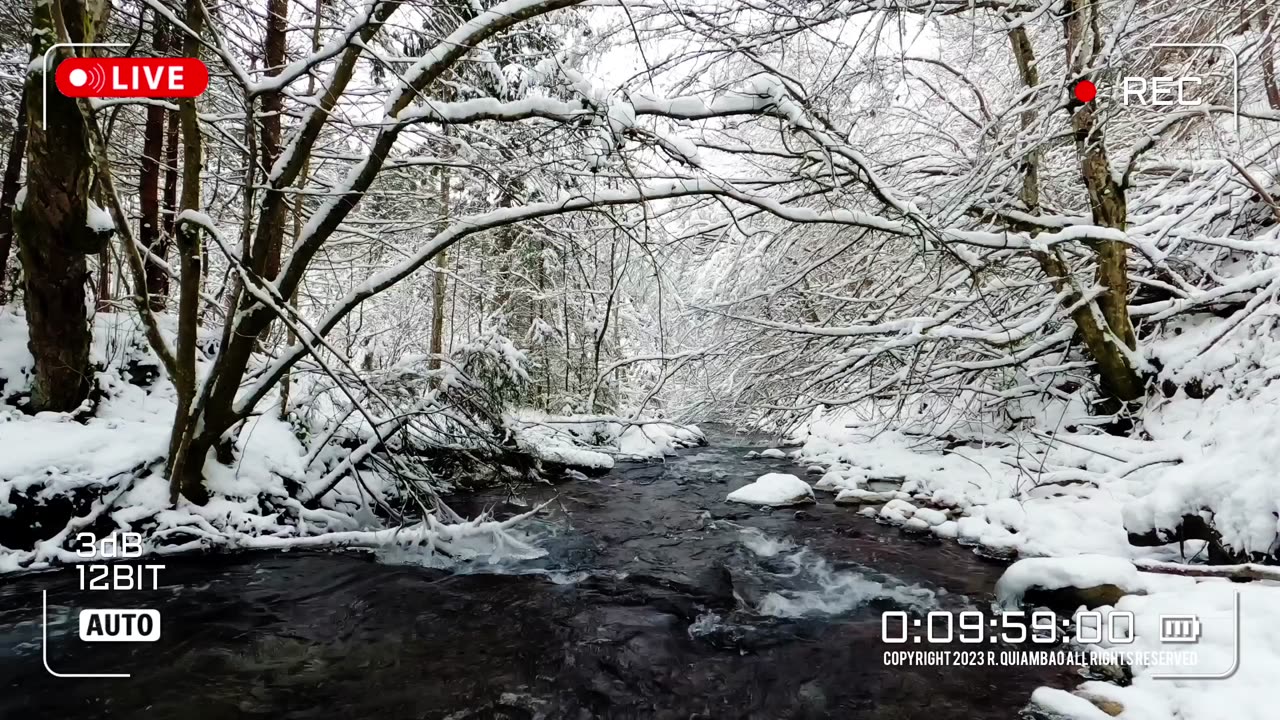 Nature Therapy | Asmr Video No. 087🌈