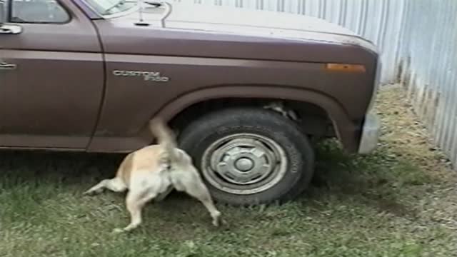 16 Tire Fails You Won't Get Tired Of Watching