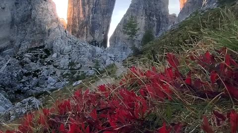 Beauty of Nature