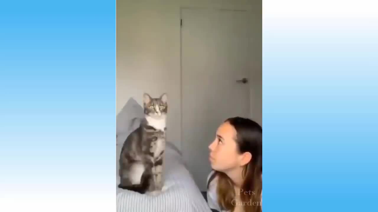 Funniest pets compilation 2021 part 8