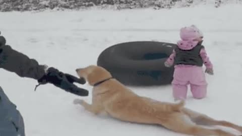 Actor skating