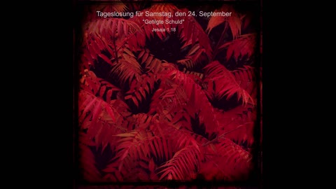 Tageslosung für Samstag, den 24. September