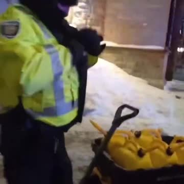 Ottawa police STEAL FUEL