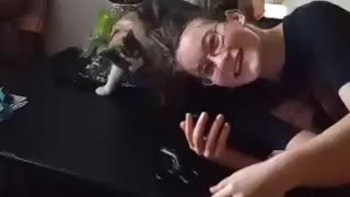 Cat thinks she's a dog