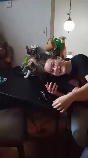 Cat thinks she's a dog
