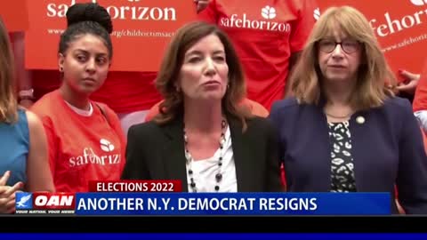 Another N.Y. Democrat resigns