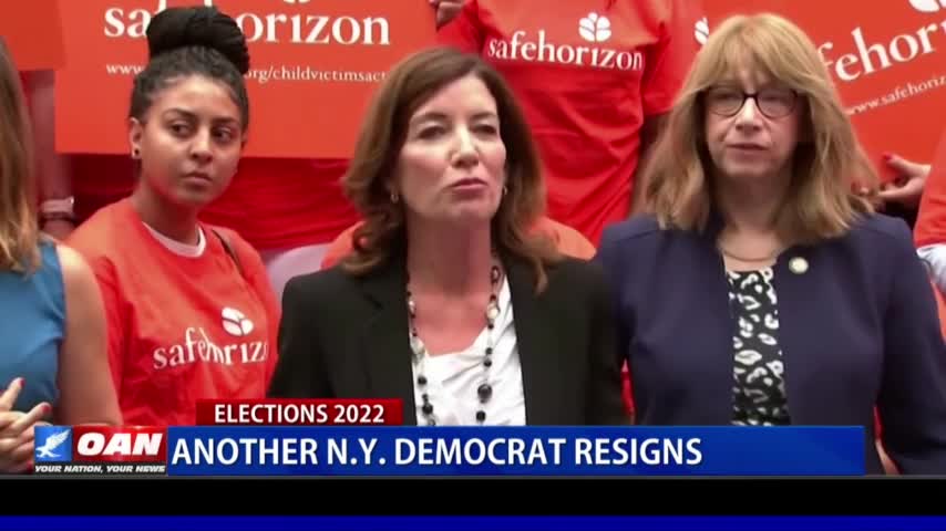 Another N.Y. Democrat resigns