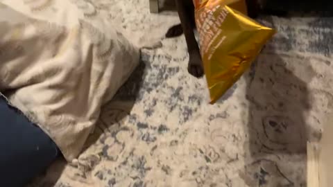 Get this bag off please