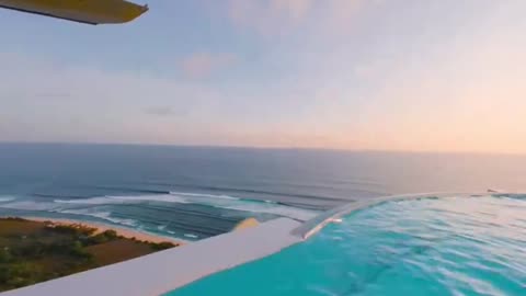 Wild Pool Slide