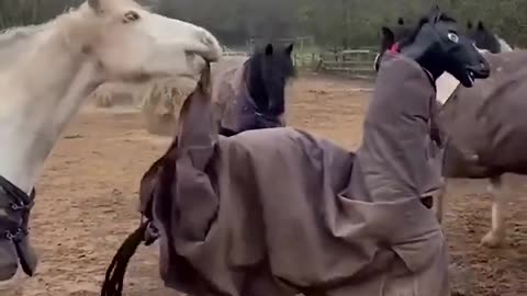 Fake horse trying to mingle with real horses