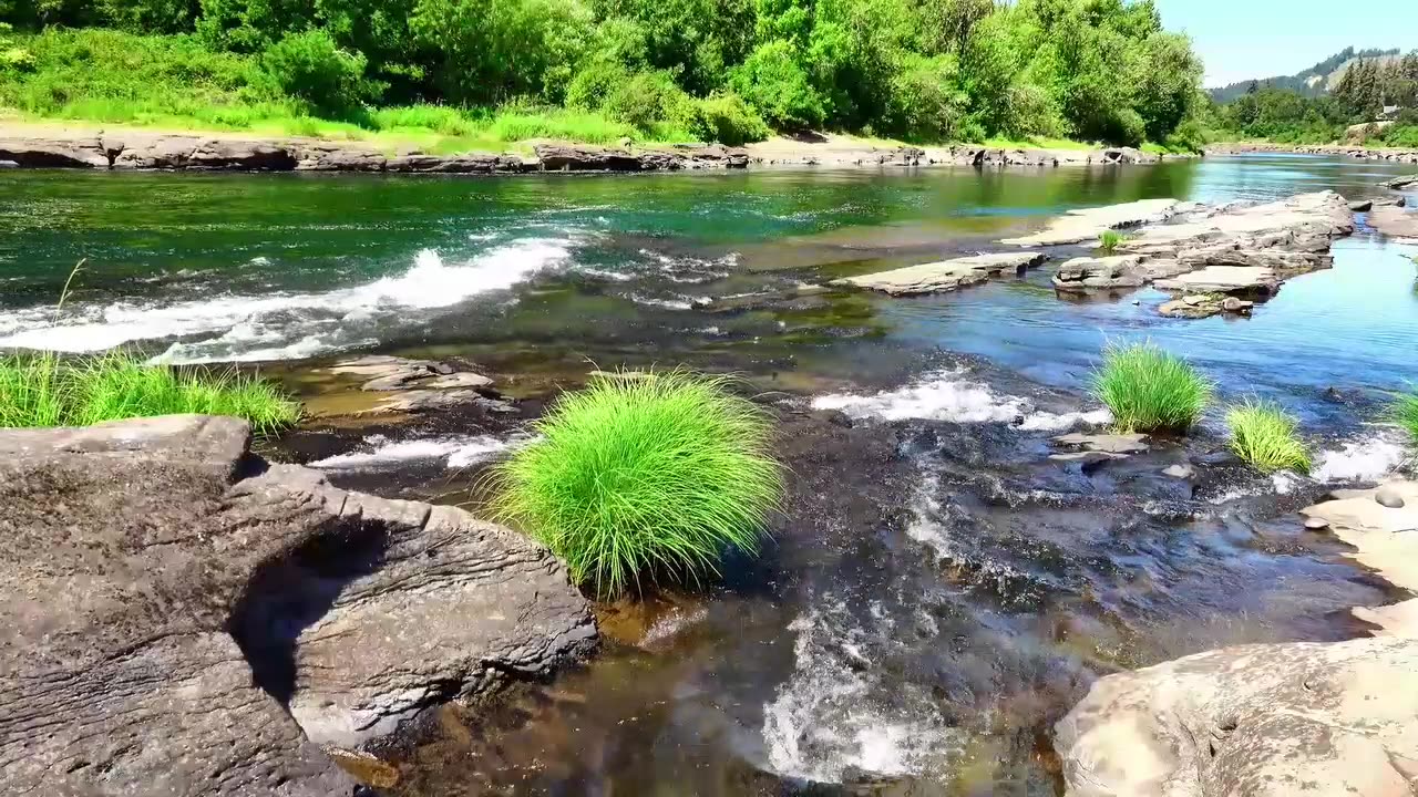 Summer music and relaxing landscapes 😊👍☀️