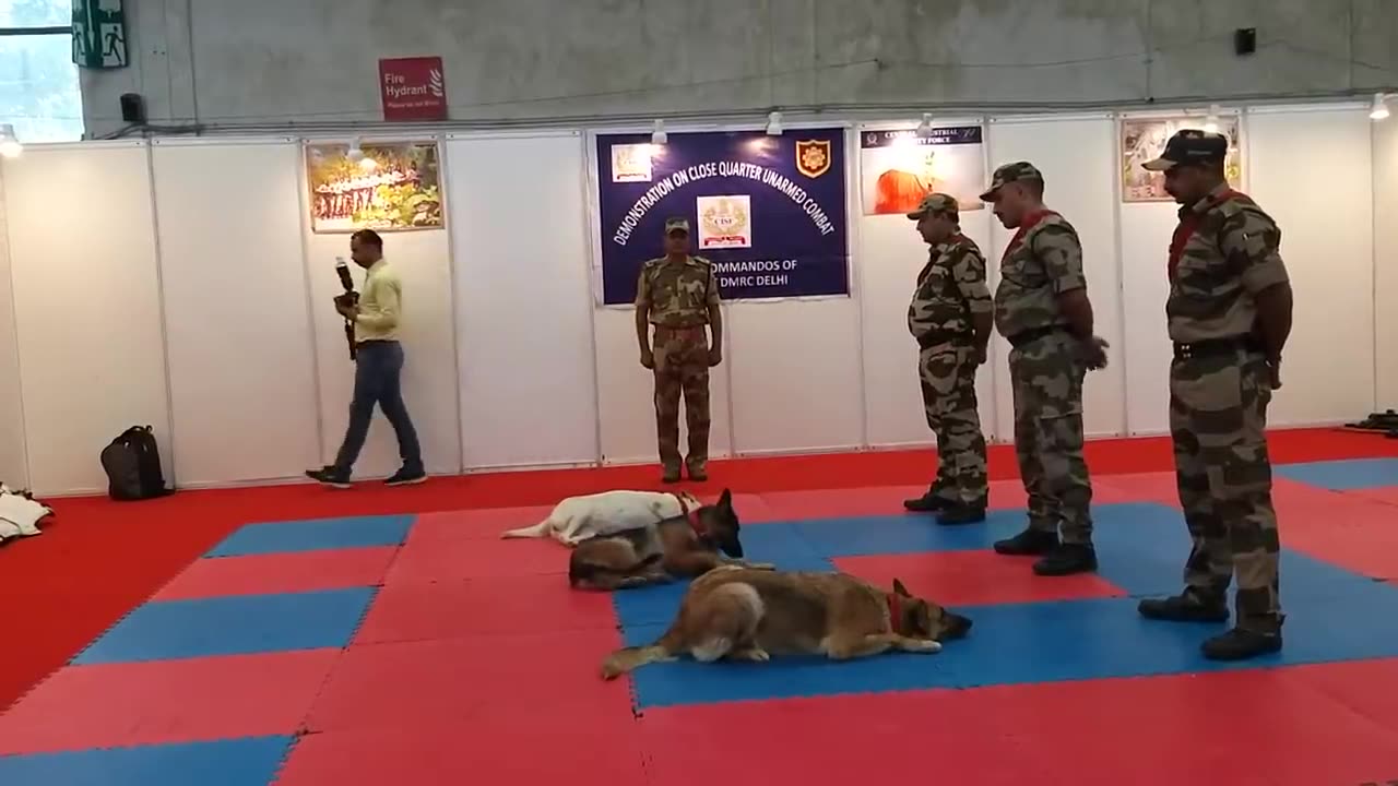 Army dog training