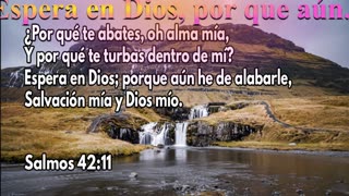 Espera en Dios; porque aún he de alabarle,.. Devocional.