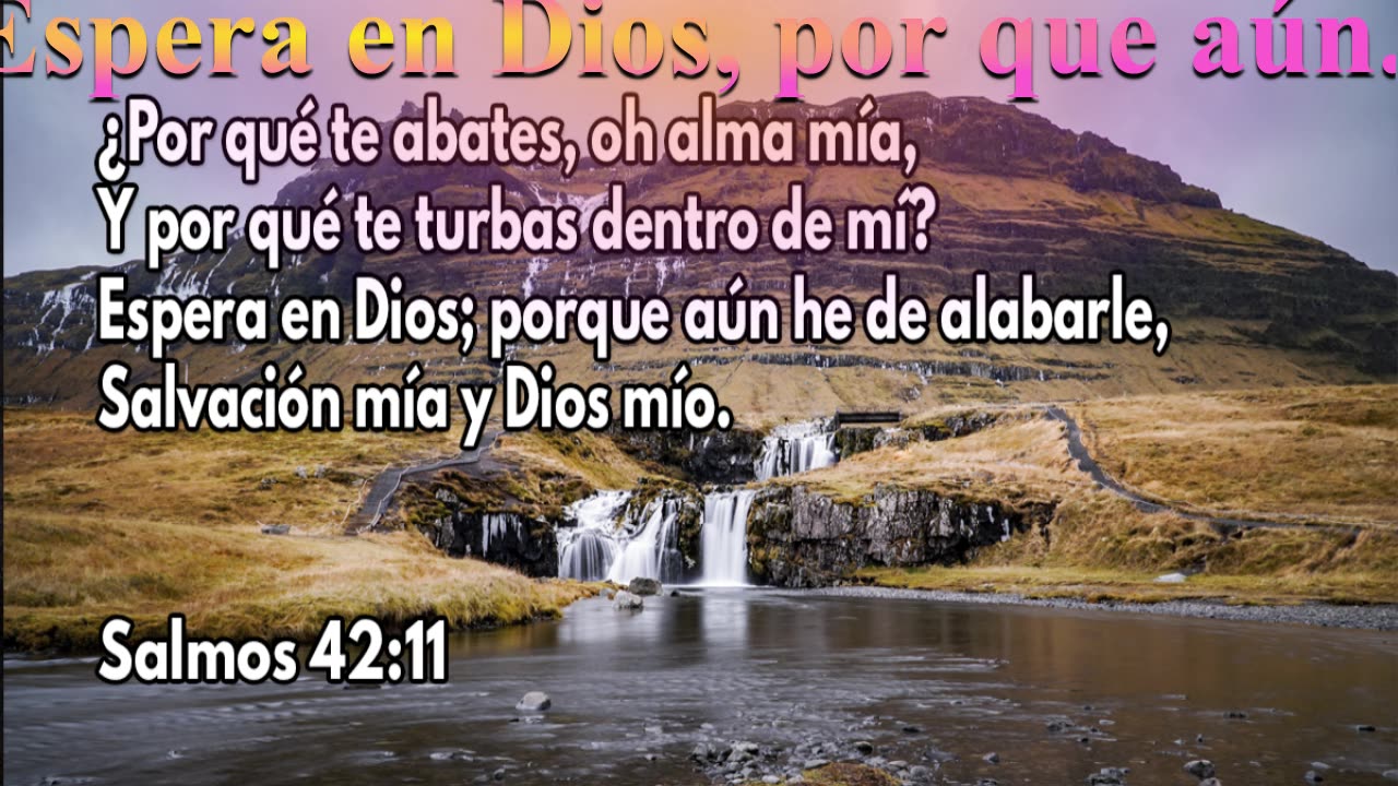 Espera en Dios; porque aún he de alabarle,.. Devocional.