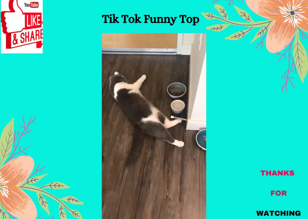 TikTok you won't regret watching!