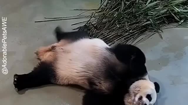 me trying to sleep