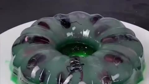 Bug Jello