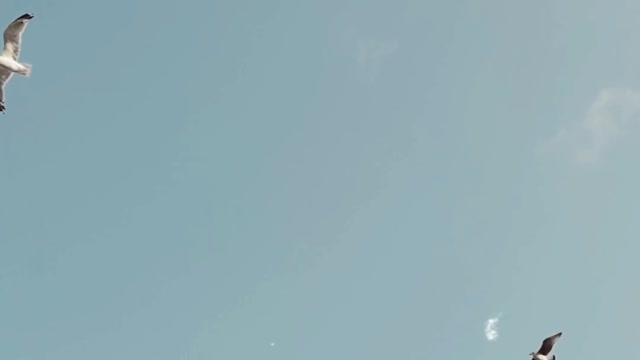 Céu azul